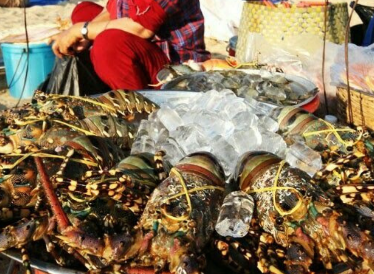Làng chài Mũi Né – Trải nghiệm hải sản tươi ngon Thưởng thức hải sản tại làng chài Mũi Né khi du lịch Phan Thiết lễ 30/4